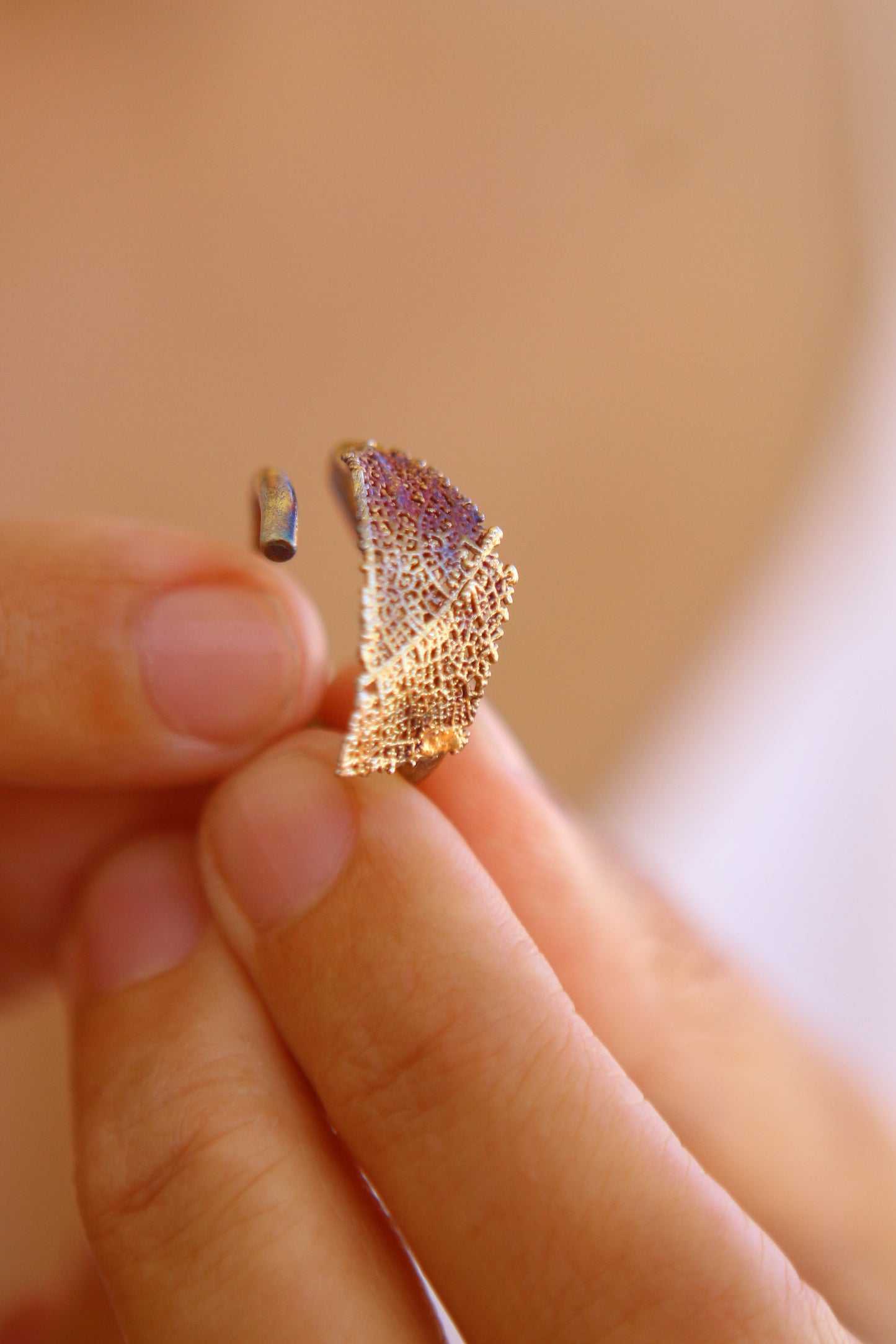 Anel com fragmento de folha