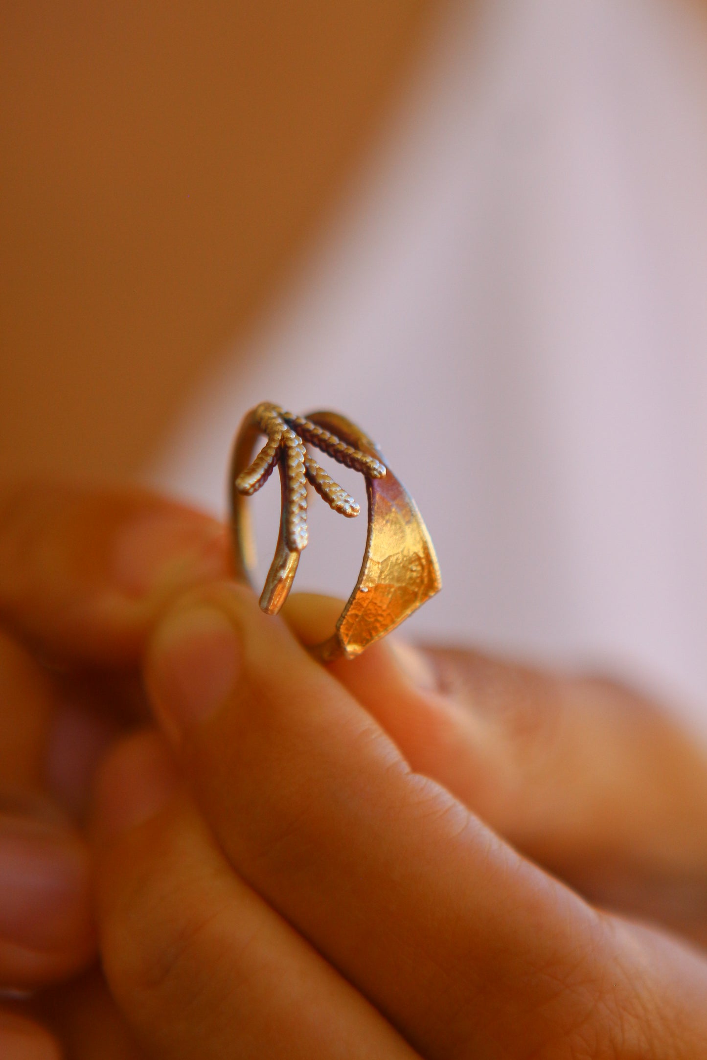 Anel com fragmento de folha