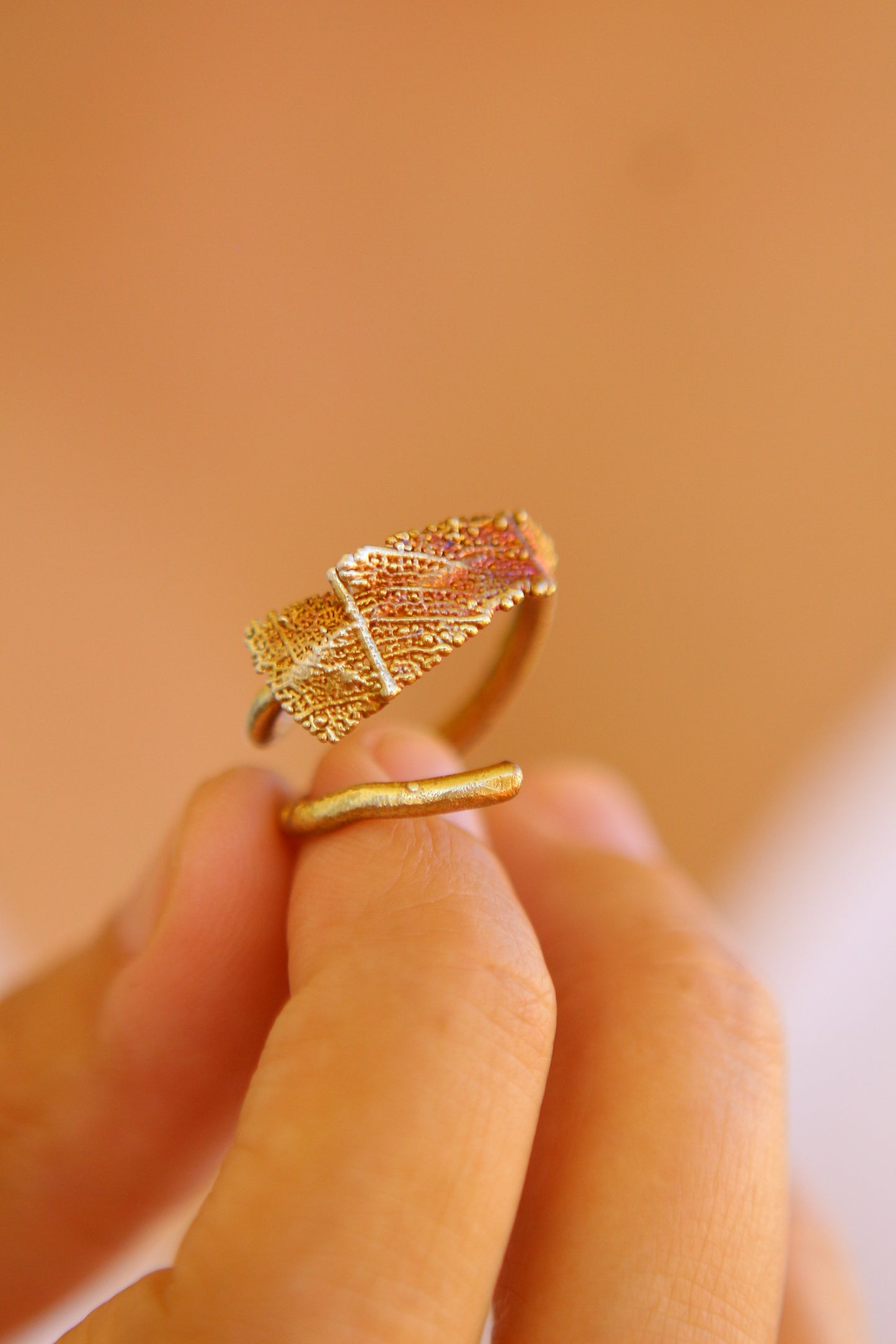 Anel com fragmento de folha