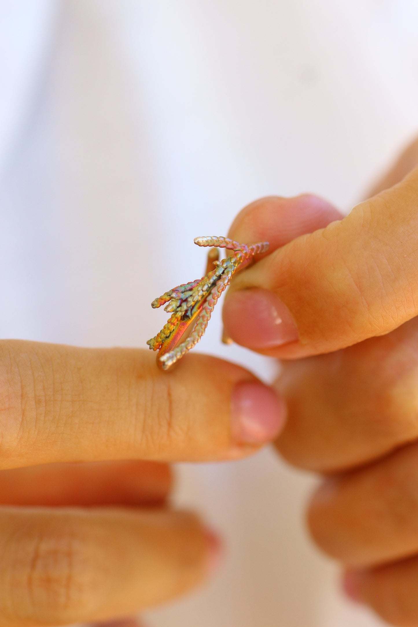 Anel com ramos de tuia