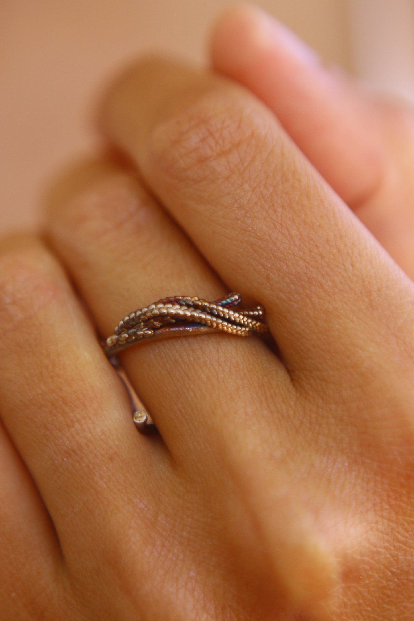 Anel com ramos de tuia