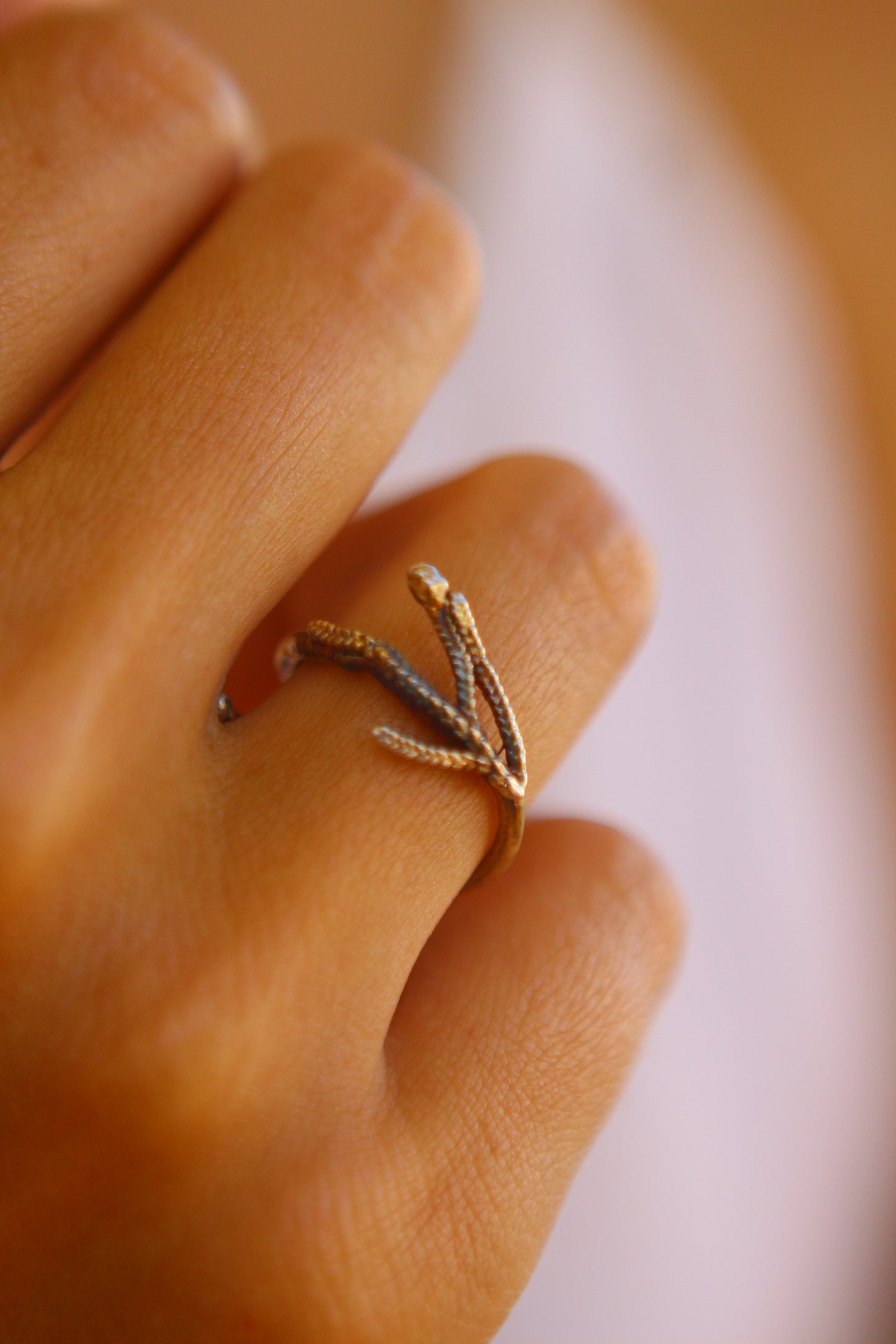 Anel com ramos de tuia