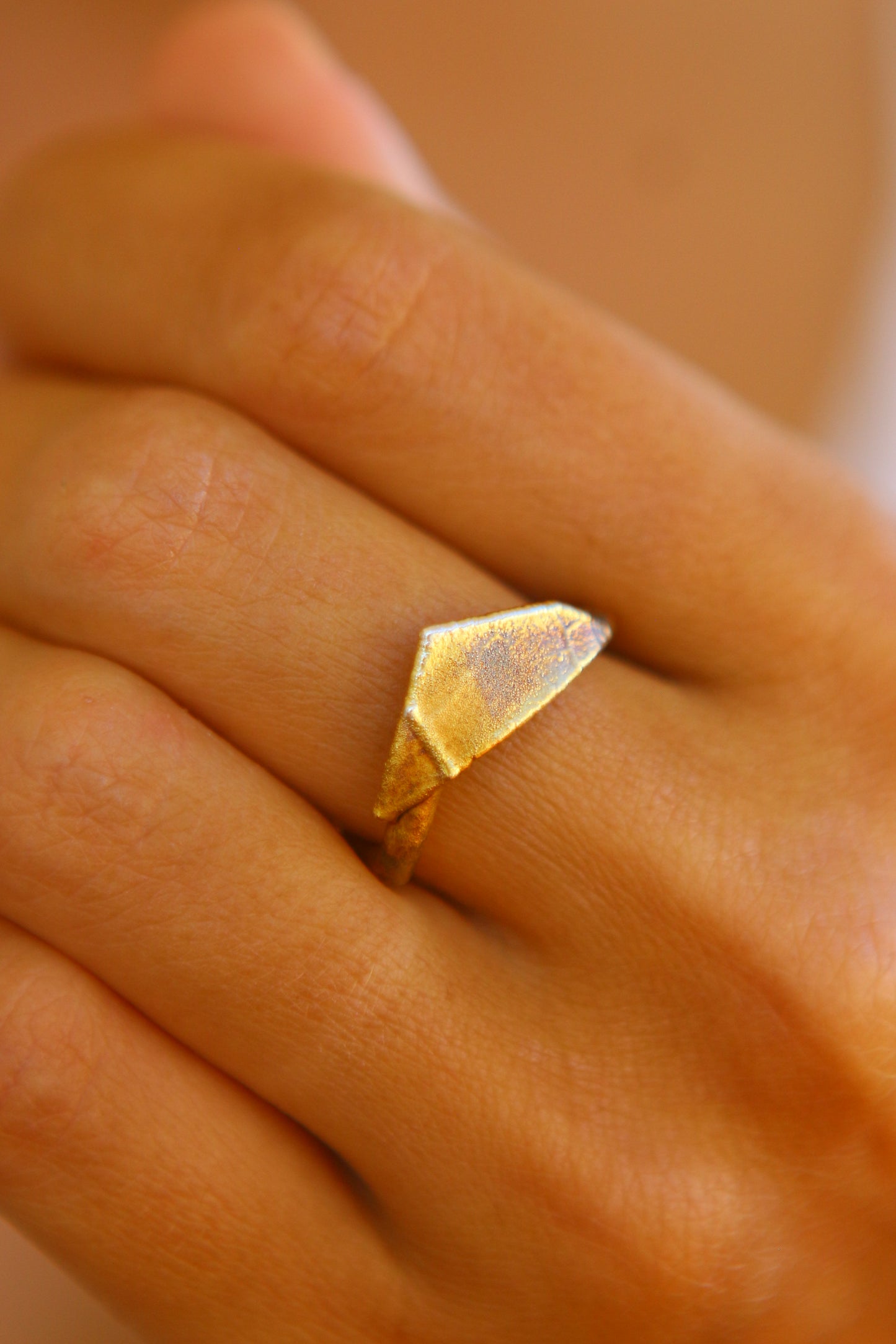 Anel com fragmento de folha