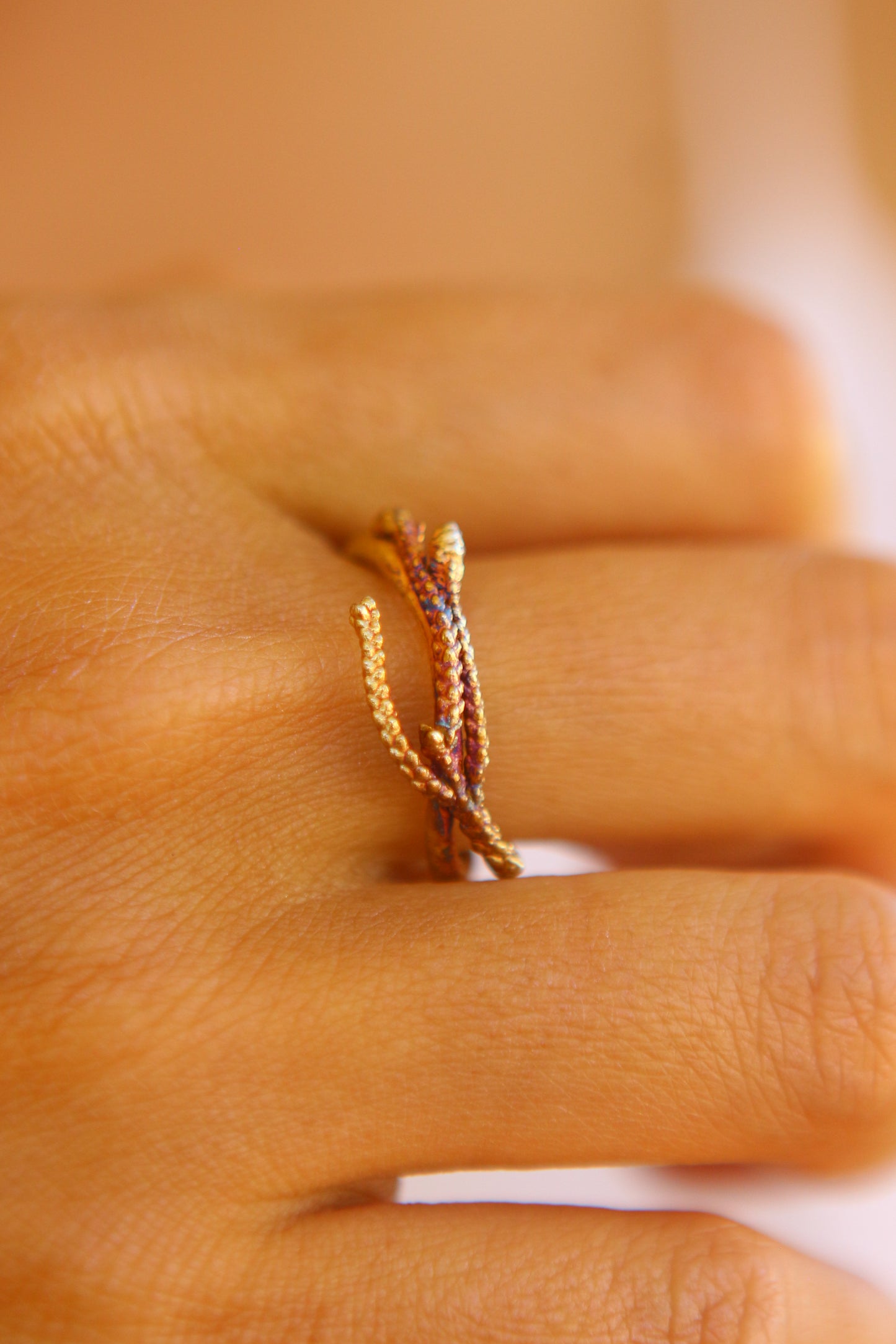 Anel com ramos de tuia