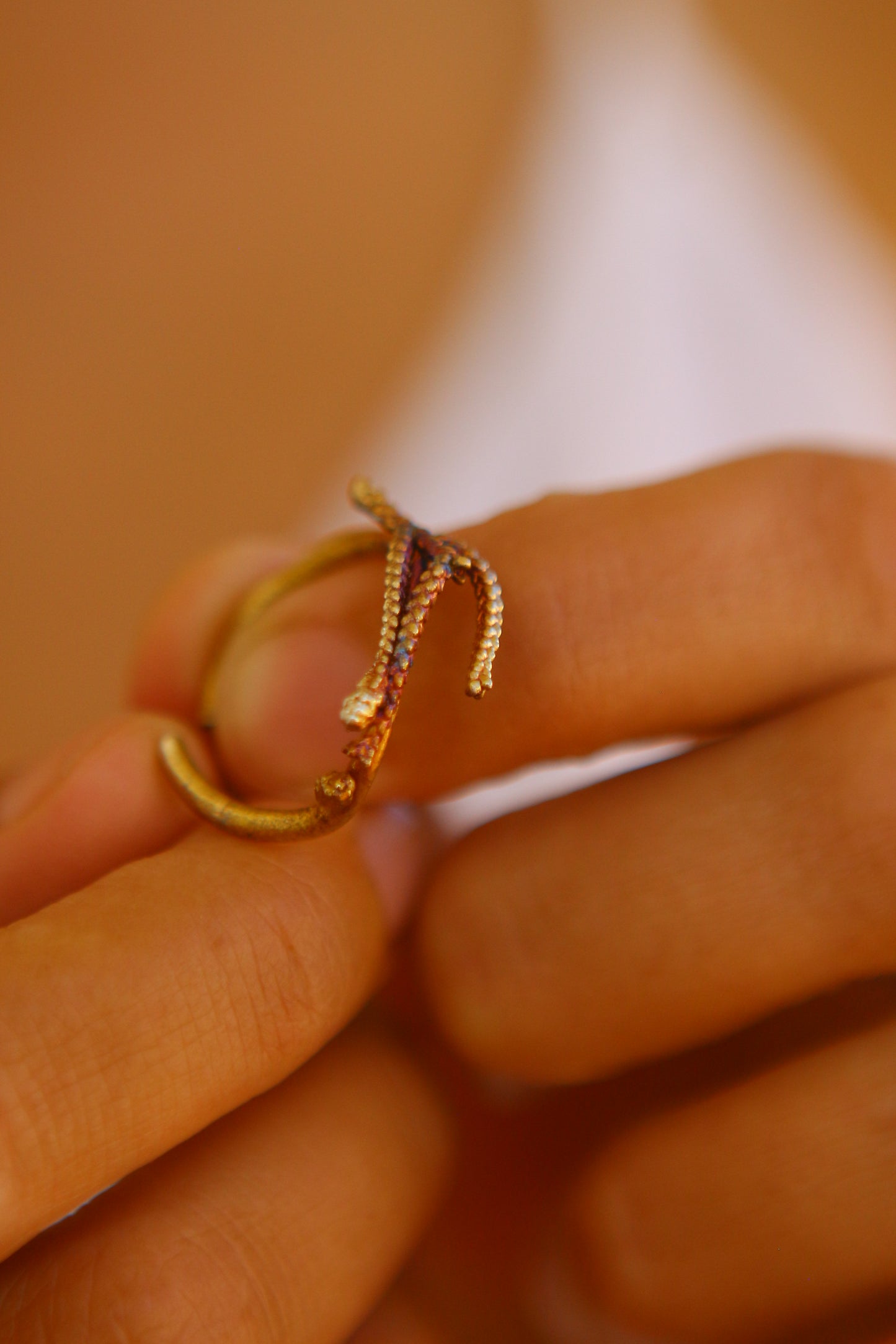 Anel com ramos de tuia