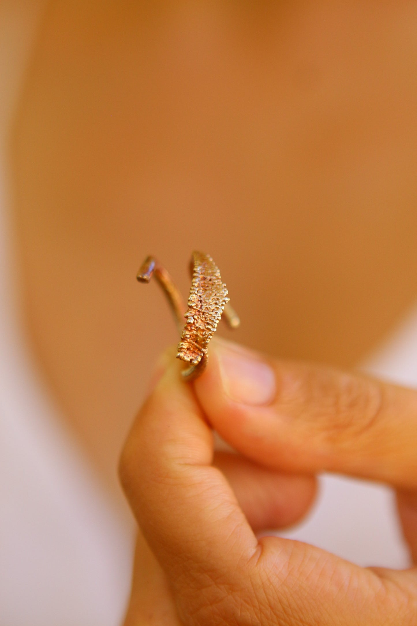 Anel com fragmento de folha