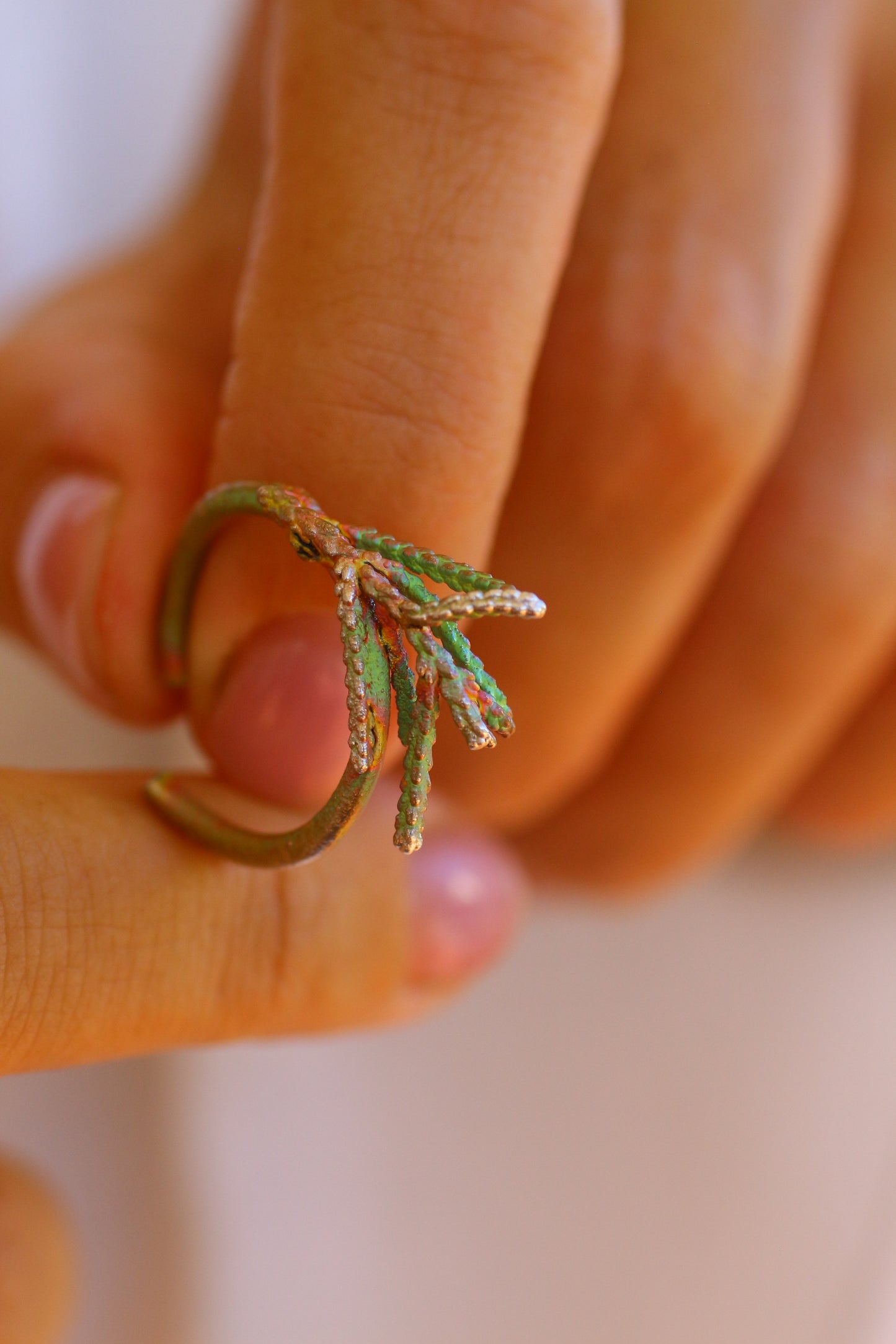 Anel com ramos de tuia