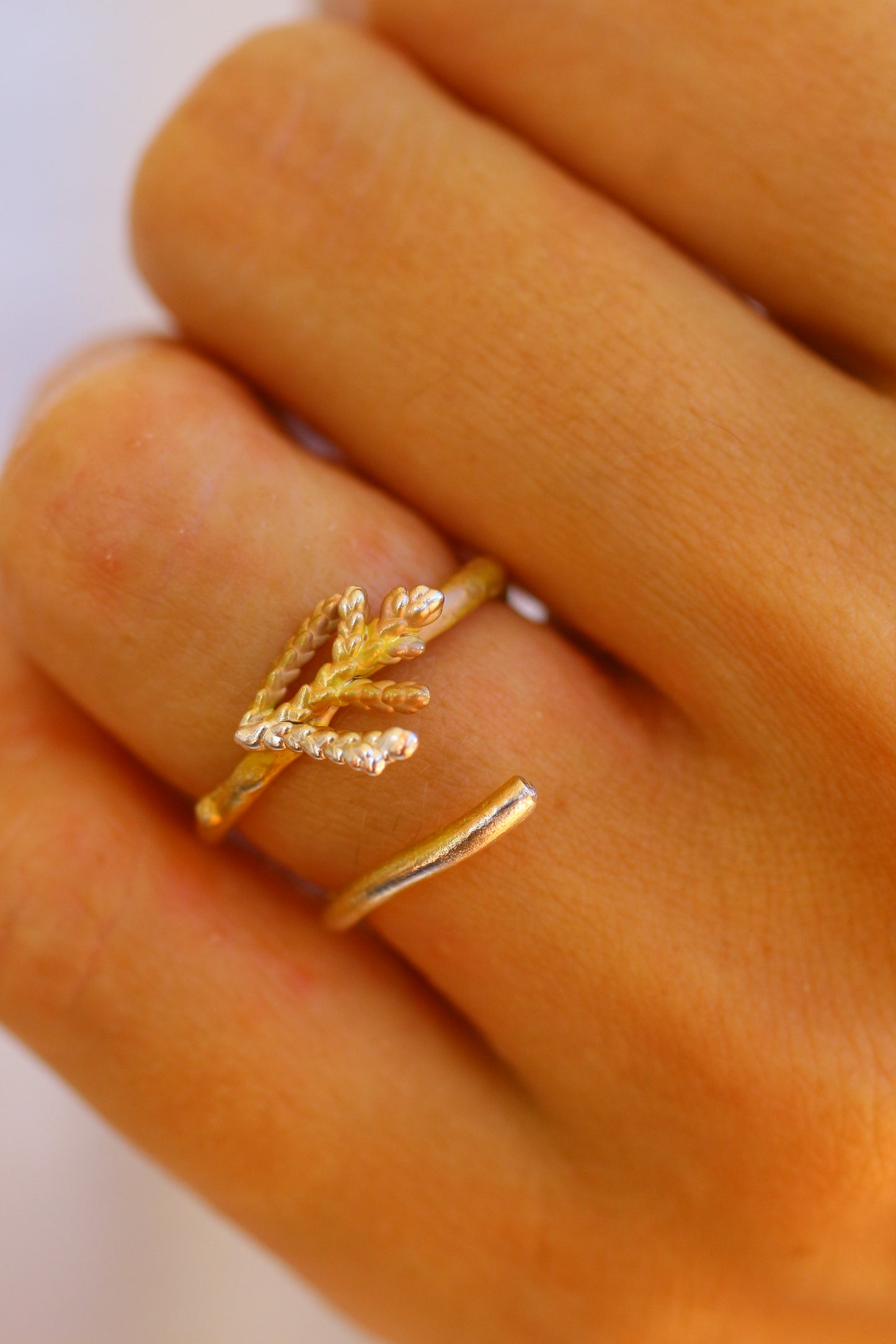 Anel com ramos de tuia