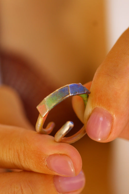 Anel com fragmento de folha