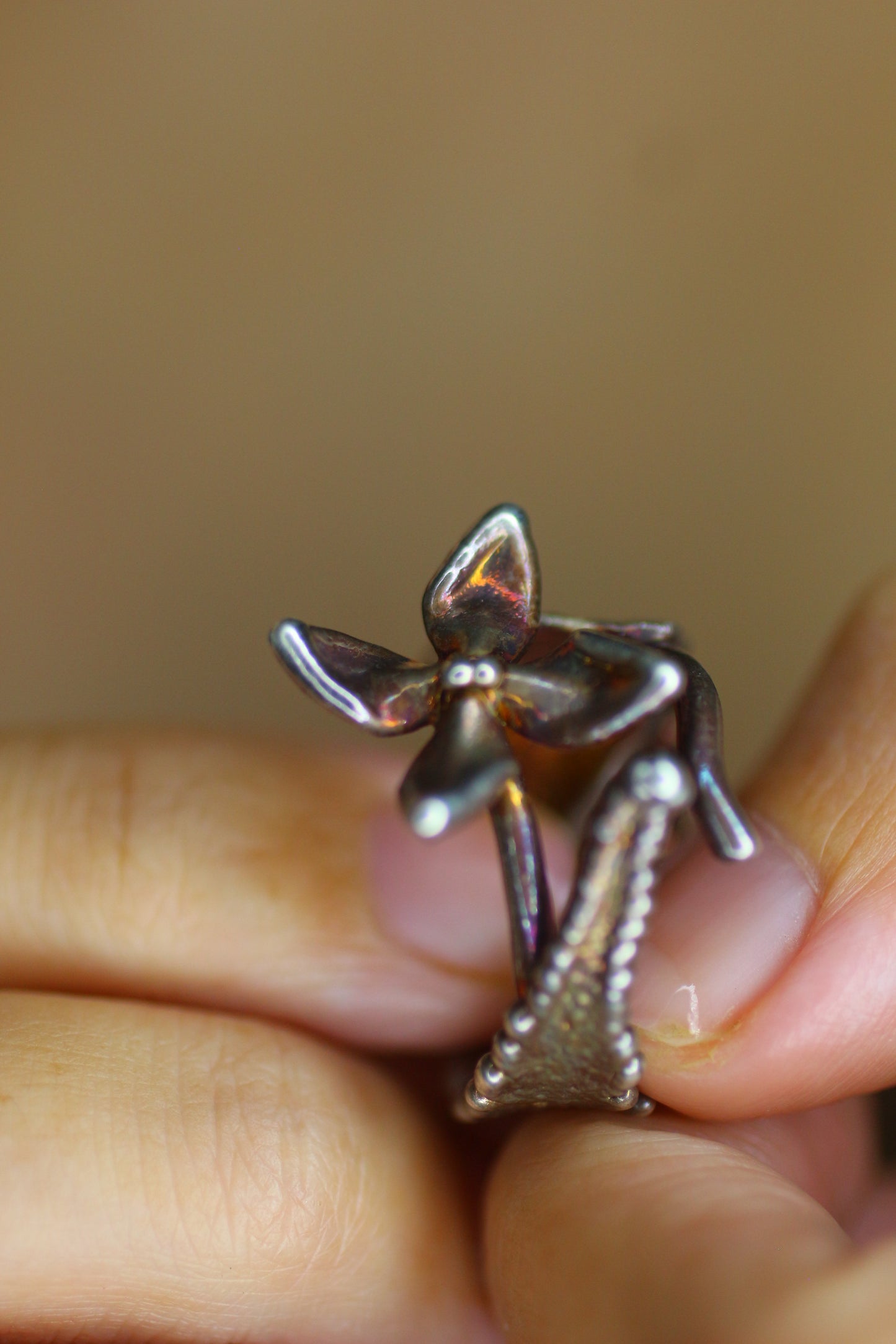 Anel com folha de feto